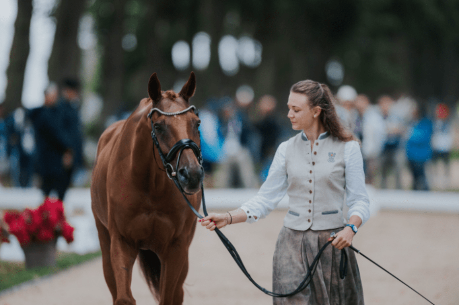 High Stakes: Paris Olympics Horse Inspection