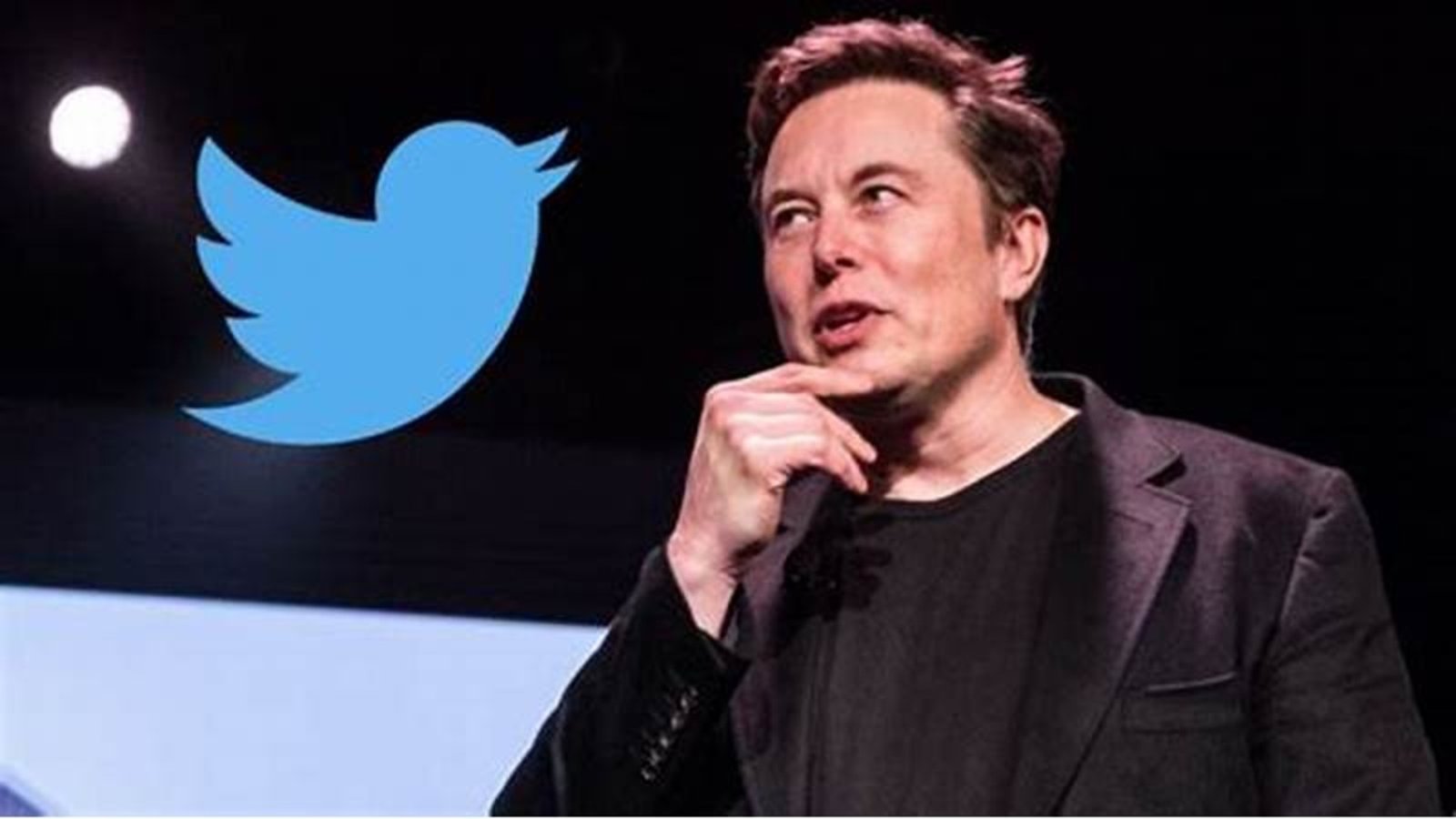 Musk Twitter Crash: Legacy Lost