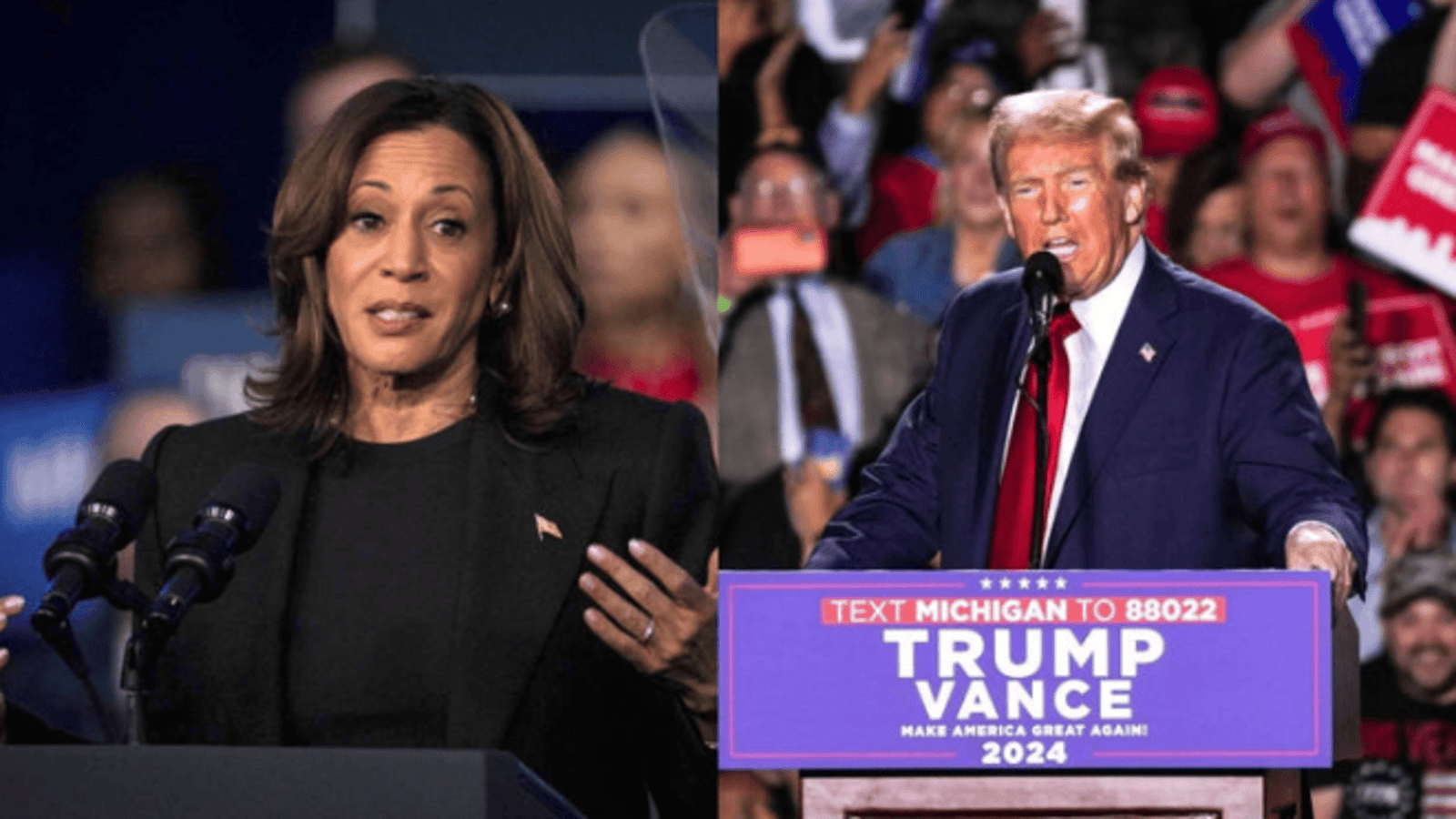 2024 Election Harris and Trump Neck-and-Neck