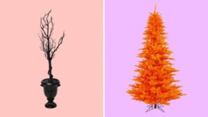 5 Fun Tips for Your Halloween Tree. Are Halloween Trees a Thing? Here’s How to Get the LookDecorating with nature is a popular tradition in the U.S. We use pumpkins for Halloween, cornucopias for Thanksgiving, and pine trees for Christmas