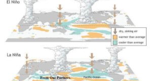 La Nina Delay 5 Key InsightsWith about a month and a half left, the anticipated return of La Niña has not yet occurred.